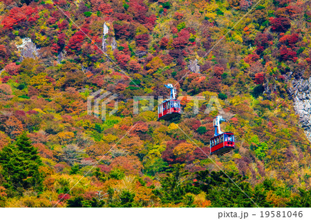 仁田峠の紅葉とロープウェイ 19581046
