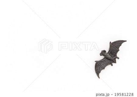 おもちゃのコウモリ: Toy Bat おもちゃのコウモリ: Toy Bat 19581228