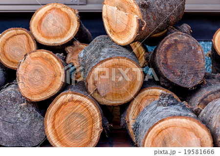 Firewood Log Stack 19581666
