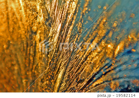 Icy frosty ornate pattern of thin ice on the 19582114