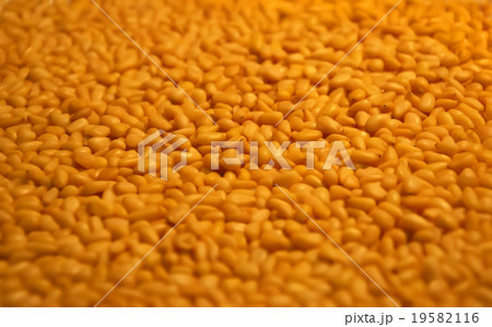 Peeled kernel cedar nuts in bulk close up in bulk 19582116