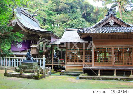 日吉神社 日吉神社 19582645