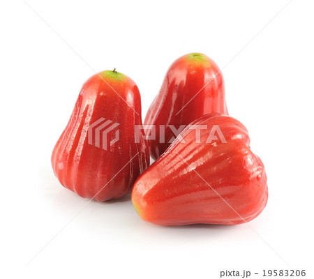 Rose apples or chomphu isolated 19583206