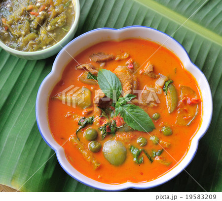 pork Curry , Thai cuisine 19583209