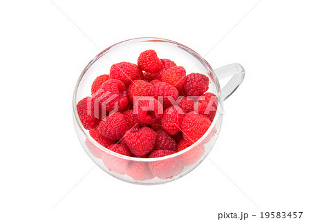 ラズベリー ラズベリー 19583457