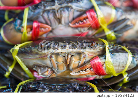 Fresh crabs on sale Fresh crabs on sale 19584122