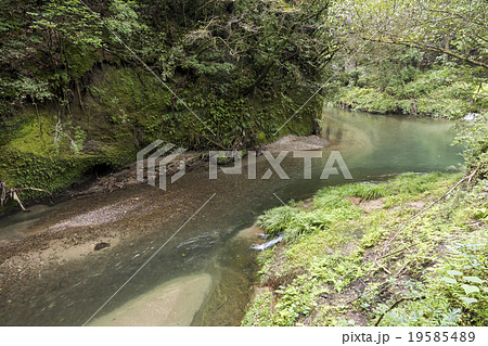 霧島市横川町の久留味川の流れ 19585489