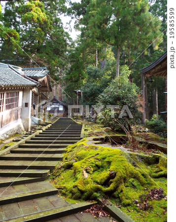 永平寺　七堂伽藍 19585599