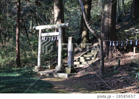 須賀神社・奥の院の鳥居と階段 須賀神社・奥の院の鳥居と階段 19585657