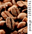 Coffee beans background 19585741