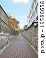 韓国の路地 19586658