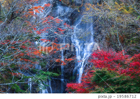五ヶ瀬・白滝の紅葉 19586712