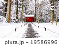 雪の赤門 19586996