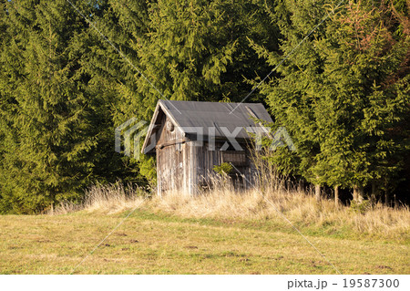 Wooden Hunters Hut 19587300