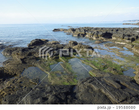 荒井浜海岸(神奈川県三浦市) 荒井浜海岸(神奈川県三浦市) 19588080