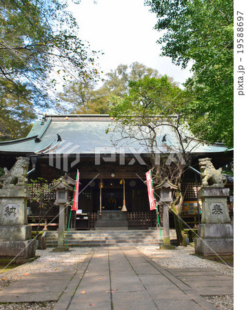野木神社 19588697