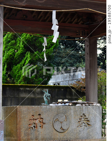 野木神社 19588700