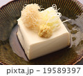 冷やっこ 19589397