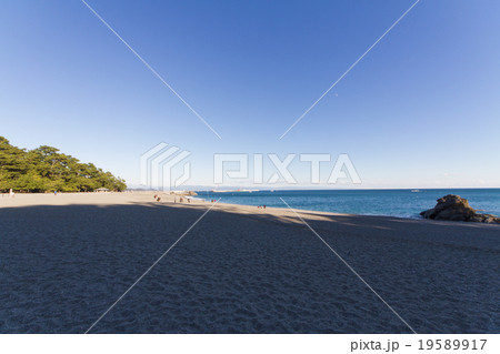 高知県高知市　桂浜の風景 19589917