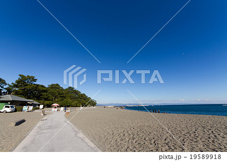 高知県高知市　桂浜の風景 19589918