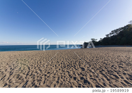 高知県高知市　桂浜の風景 19589919