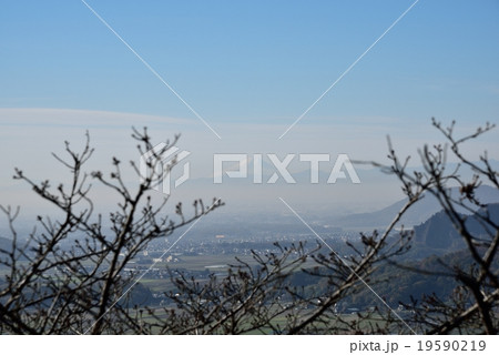 謙信平からのぞむ富士 19590219