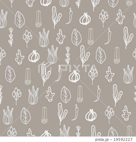 Herbs and spices doodle hand drawn pattern. Herbs and spices doodle hand drawn pattern. 19592227