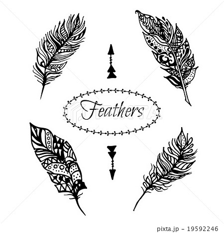 Hand drawn vector zentangle black feathers set. Hand drawn vector zentangle black feathers set. 19592246