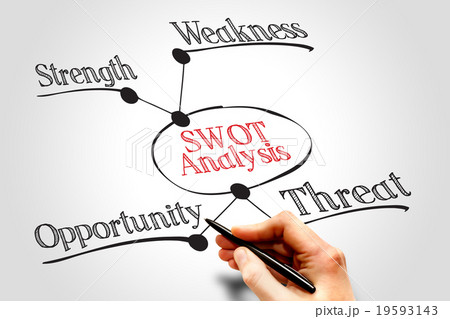 SWOT Analysis 19593143