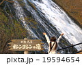 北海道　知床　オシンコシンの滝と女性 19594654