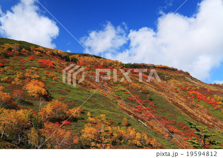 大雪山赤岳の紅葉 大雪山赤岳の紅葉 19594812
