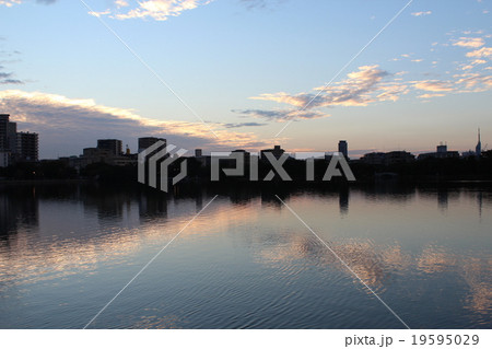 福岡市中央区の大濠公園で撮影　朝焼け 19595029