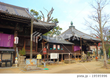 志度寺　本堂 19595996