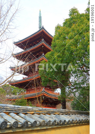 志度寺 五重塔 志度寺 五重塔 19596001