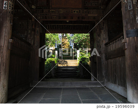 杉本寺の苔階段 19596039