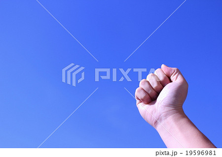 じゃんけん　グー 19596981
