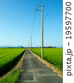湖西の田園風景 19597700