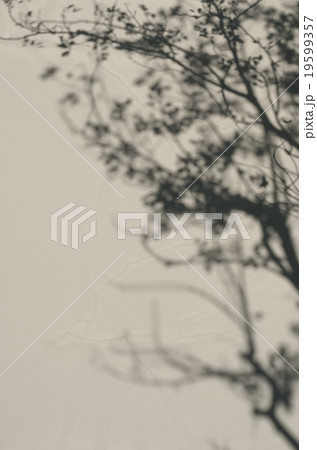 Tree Shadow. 19599357