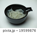 白魚 19599876