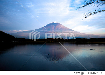 逆さ富士 19602594