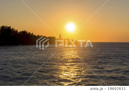 インド洋のザンジバルリゾート 19602631