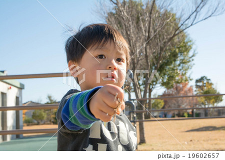 公園に座る男の子 公園に座る男の子 19602657