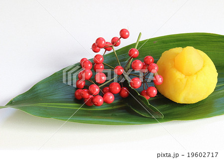 栗きんとん 19602717