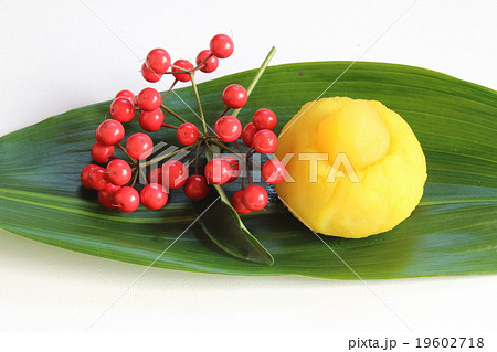 栗きんとん 19602718