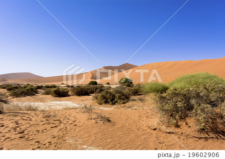 ナミブ砂漠のデューン45の写真素材