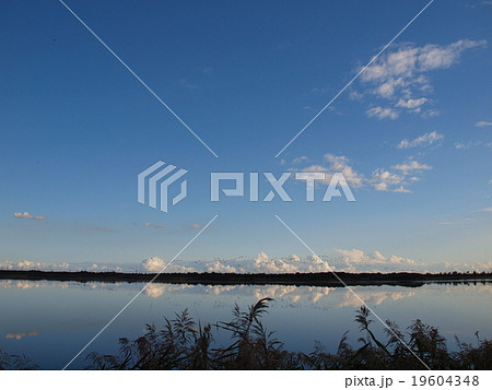 秋のウトナイ湖 19604348