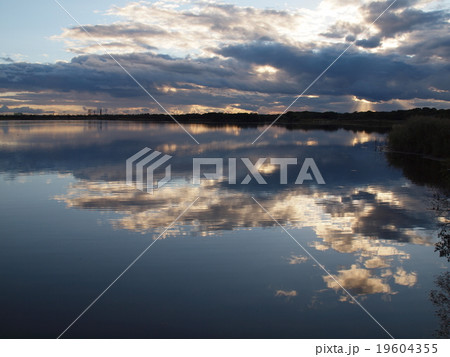 北海道の自然・秋のウトナイ湖8 北海道の自然・秋のウトナイ湖8 19604355