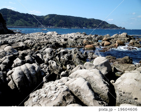 鴨ヶ浦 鴨ヶ浦 19604606