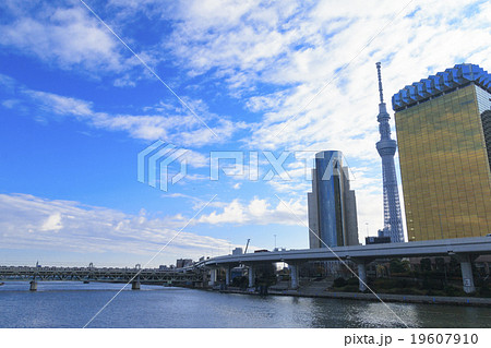 冬のスカイツリー 冬のスカイツリー 19607910