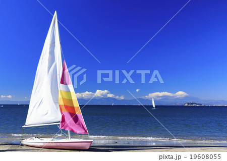 冬のヨット 冬のヨット 19608055